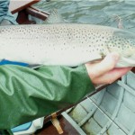 James Rainford fish on 7th Sept