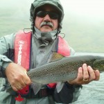 Sea Trout