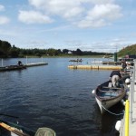 Dick Doyle competition at Carrigavantry
