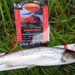 East Coast Fishing – Fish hunt 1