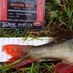East Coast Fishing – Fish hunt 3