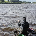 Fish to net