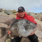 Gordon Thornes Triggerfish