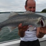 zeebaars 2012 1369