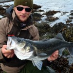 bass