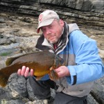 Ants Wrasse 4 10