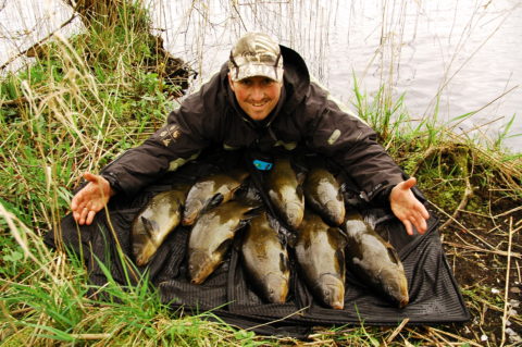 tench