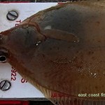 East Coast Fishing – Oct 2012 2