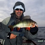 East Coast – Perch fishing 1
