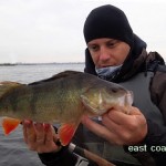 East Coast – Perch fishing 3