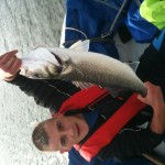 Eire Bass
