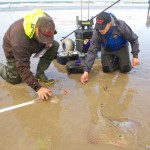Anglers marking each other's cards