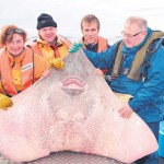On board the Shamrock were skipper Mary Gavin Hughes, Sean Ketterick, Joeph McMenamin, Padraic Munnelly, Killala with his winning skate. Pic John O'Connor