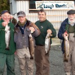 Sheelin – Albert and other winners