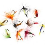 Sheelin – Flies