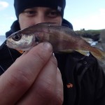 South East Lure Angling – David with pouting