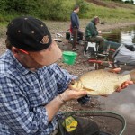 A fine hybrid from South Cork
