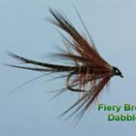 Fiery brown dabbler fly