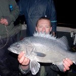 stone bass