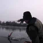 ACTION