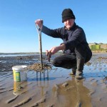 Wexford bait
