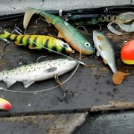Colourful lures