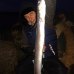East Coast Fishing – Conger Eel