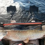 Lough Fishing buddies 2