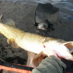 Lough Fishing buddies 3