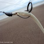 Lurefish Ireland – Lure