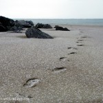 footsteps in the sand…….Follow that