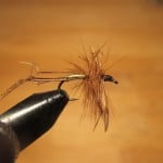 Nomads of the Sea – Dry Daddy