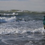 Probassfishing – Shore angling