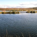 Rathcon Lake Fishery