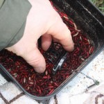 Add particles to the feeder as you go