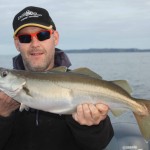 Glenn found plenty of Pollack on the Berkley Firetails