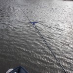 Keep the rod-tip high to avoid line drag