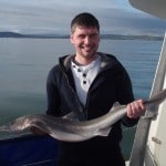Another fine Spurdog came to the Mackerel-Squid baits.