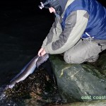 David releasing Conger Eel