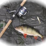 Midland Angling – Dec 2012