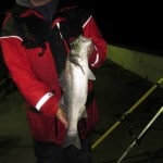 6lb Bass for Ullcatch