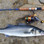 Ullcatch – Rock fishing 2