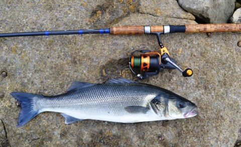 Ullcatch - Rock fishing 2