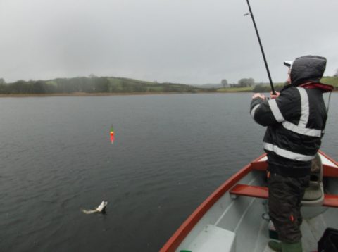 James Delaney Takes a Small Jack Pike to the Boat
