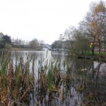 Peters Lake