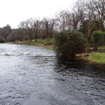 Below the bridge at Lareen this afternoon