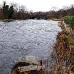 Drowes – Mill Pool this afternoon