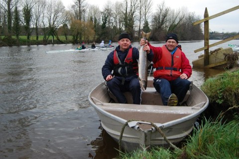 14lb Salmon hitches a ride with Fermoy Rowing Club 14lb Salmon hitches a ride with Fermoy Rowing Club