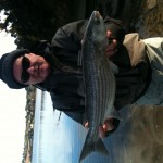 Richie Ryan with a lovely early season Mullet taken on fly