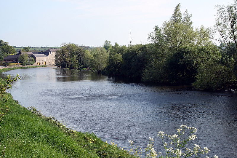 River Barrow near Bagenalstown